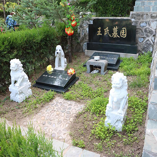 自选地