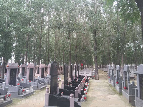 长青公墓